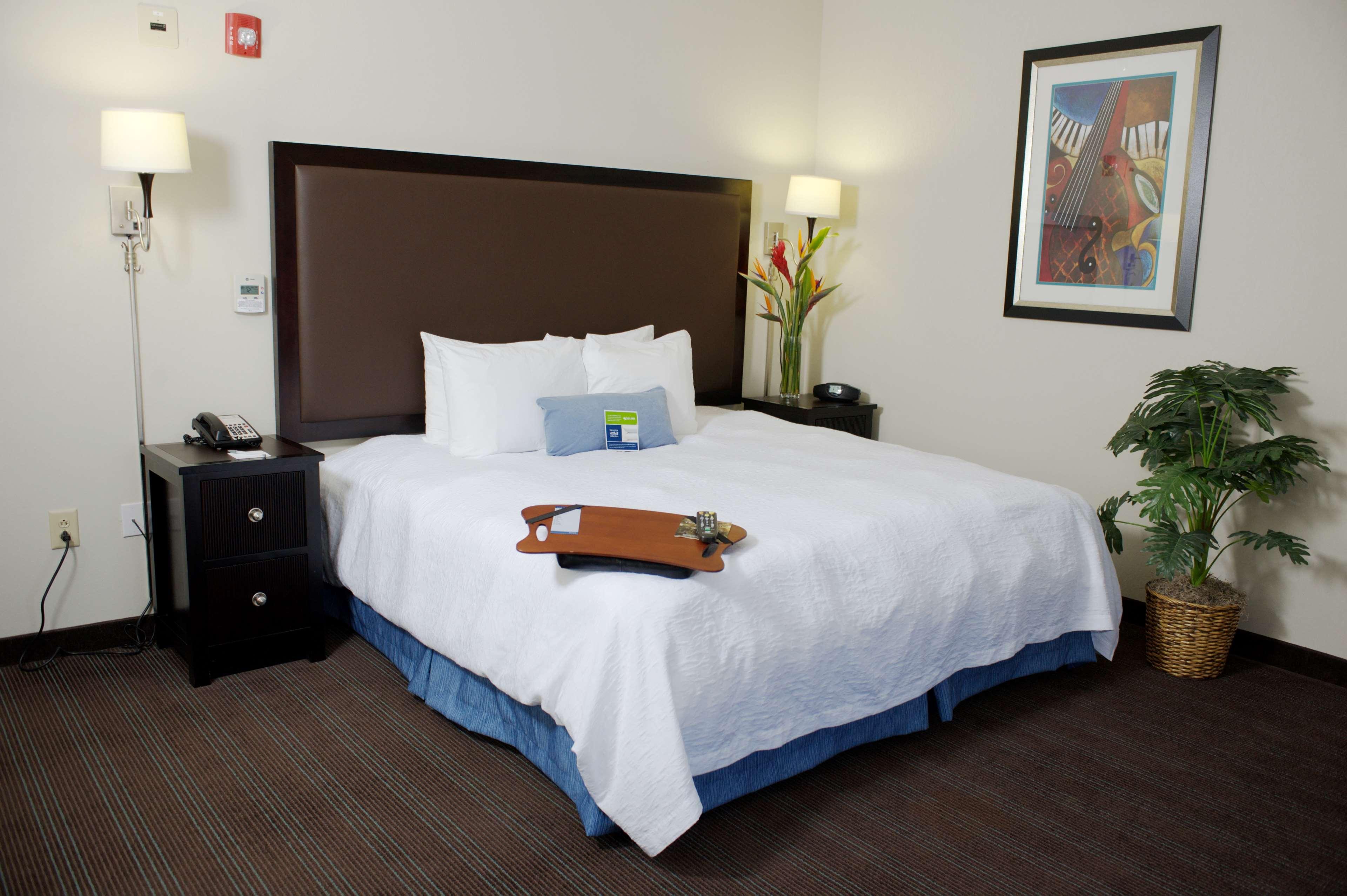 Hampton Inn & Suites Nashville-Downtown Chambre photo